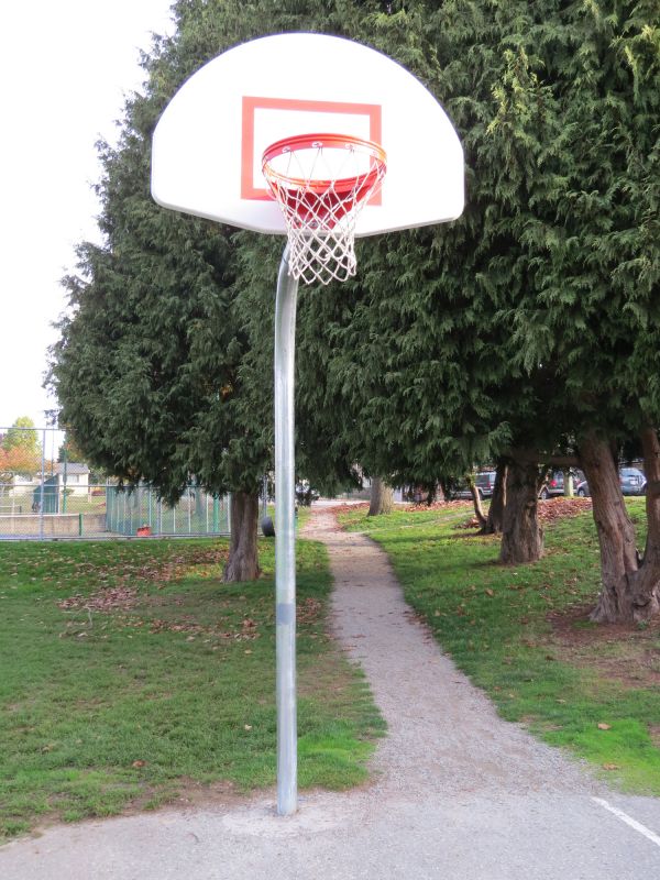 Basketball Hoop Repair