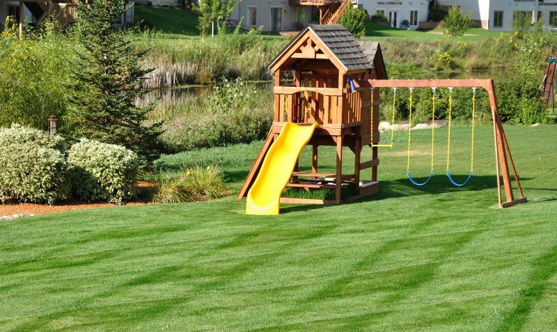 Play Set Installation in Denver County, CO